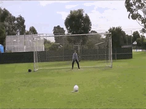 kick in the balls gif|More.